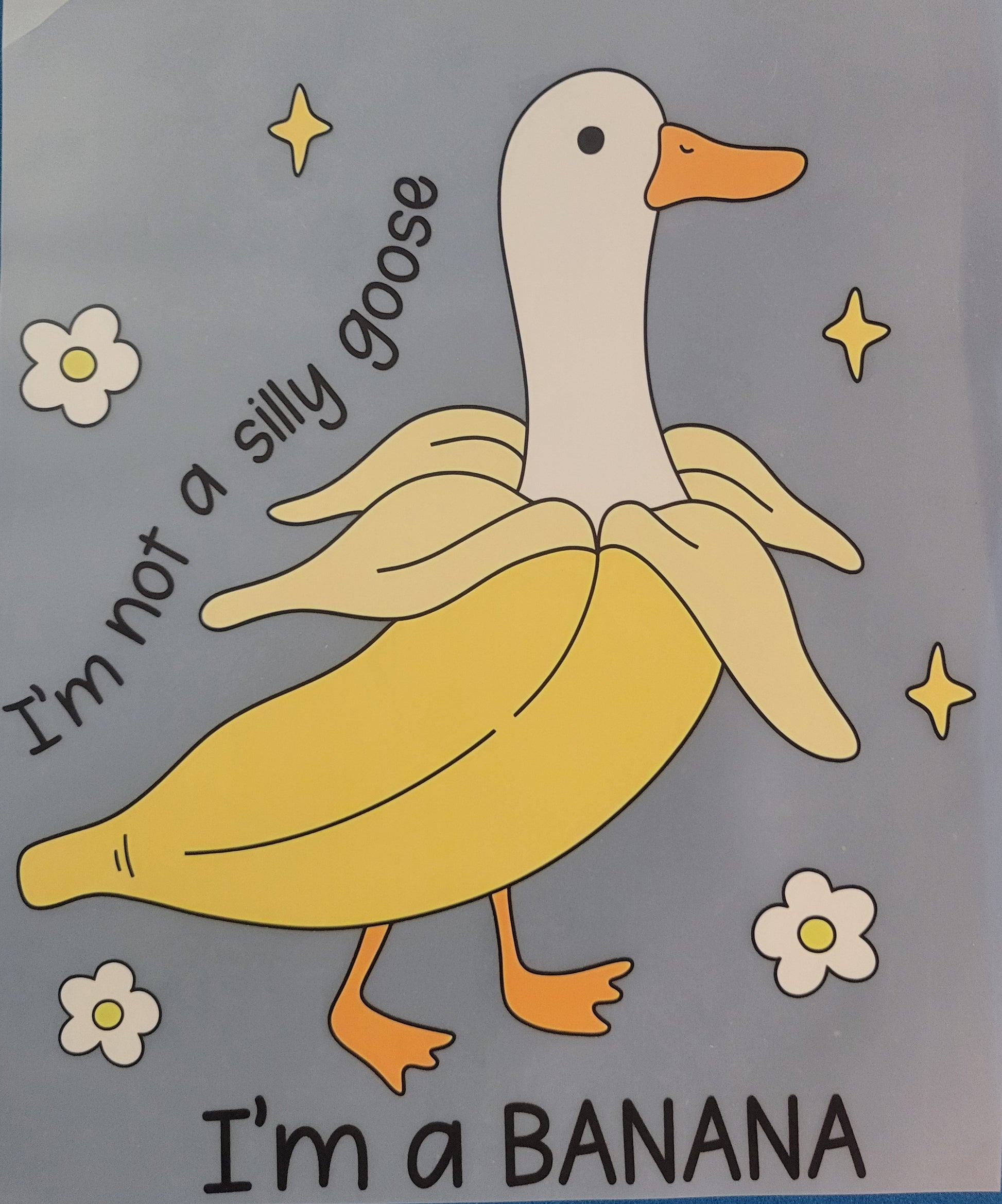 FULL COLOR DTF TRANSFERS-goose image 0