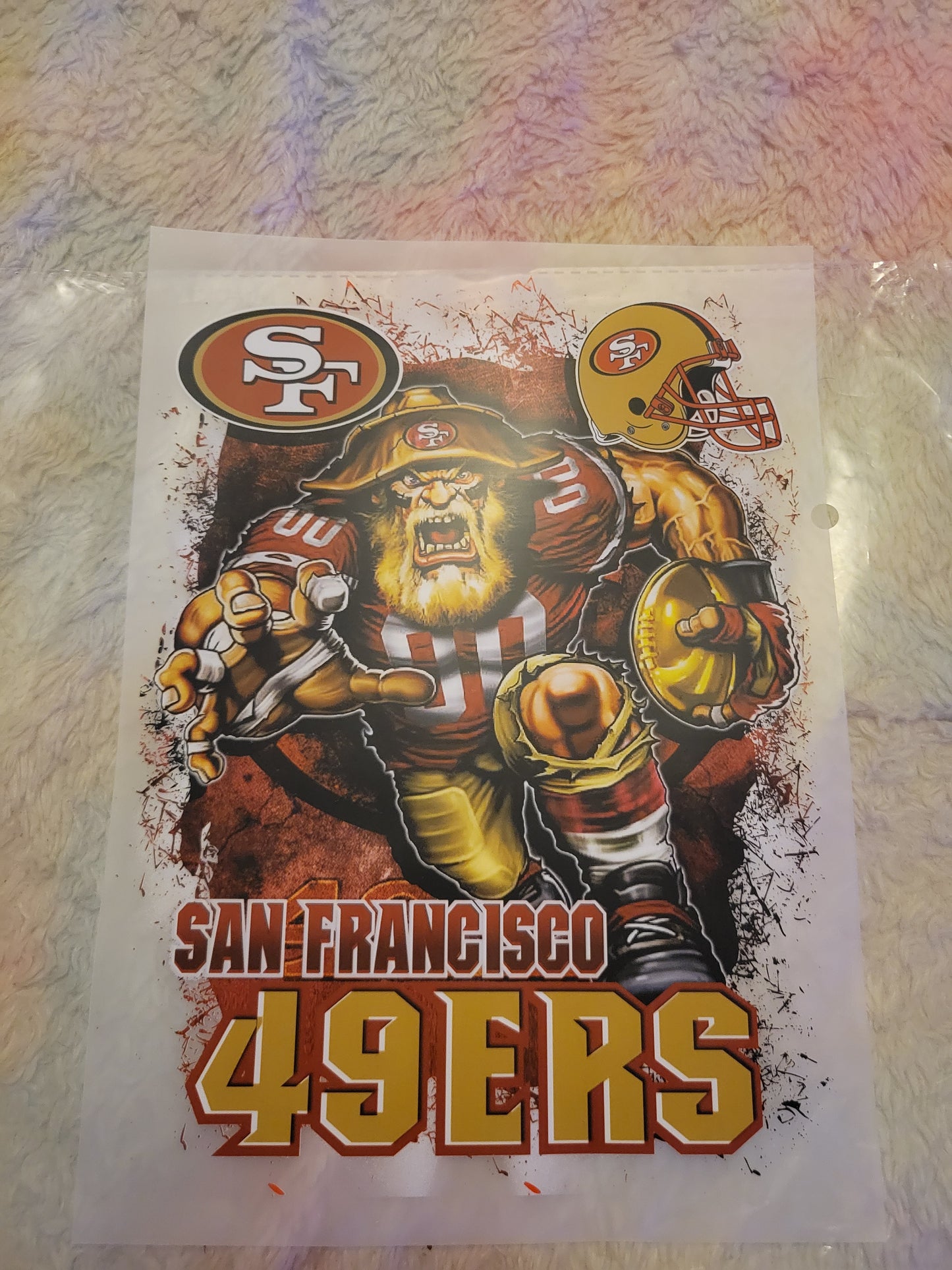 🏈 NFL AFC Division Mascot – DTF Transfers 🏈 image 14