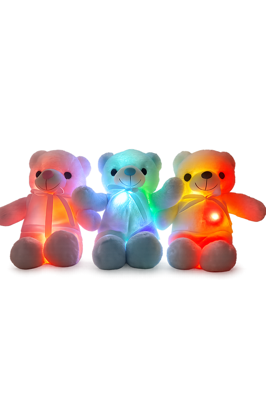 Led Sublimation Teddy Bears image 0