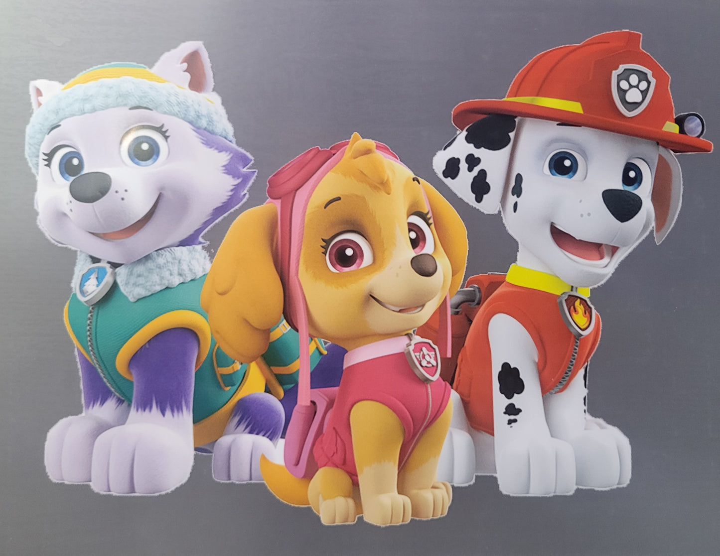 PAW PATROL image 0