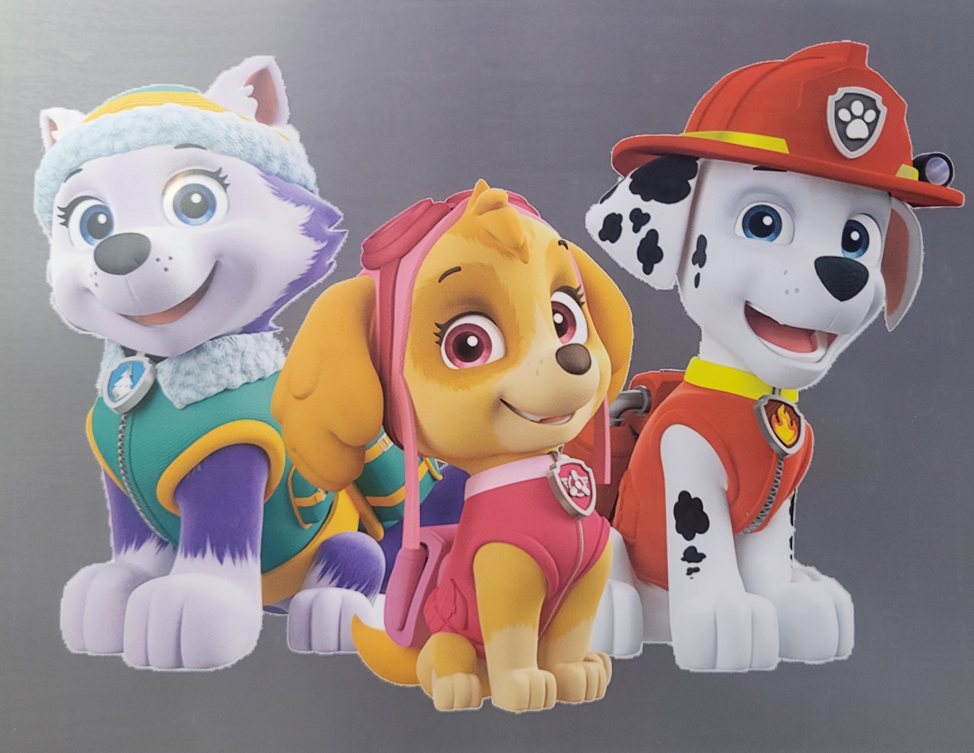 PAW PATROL image 0
