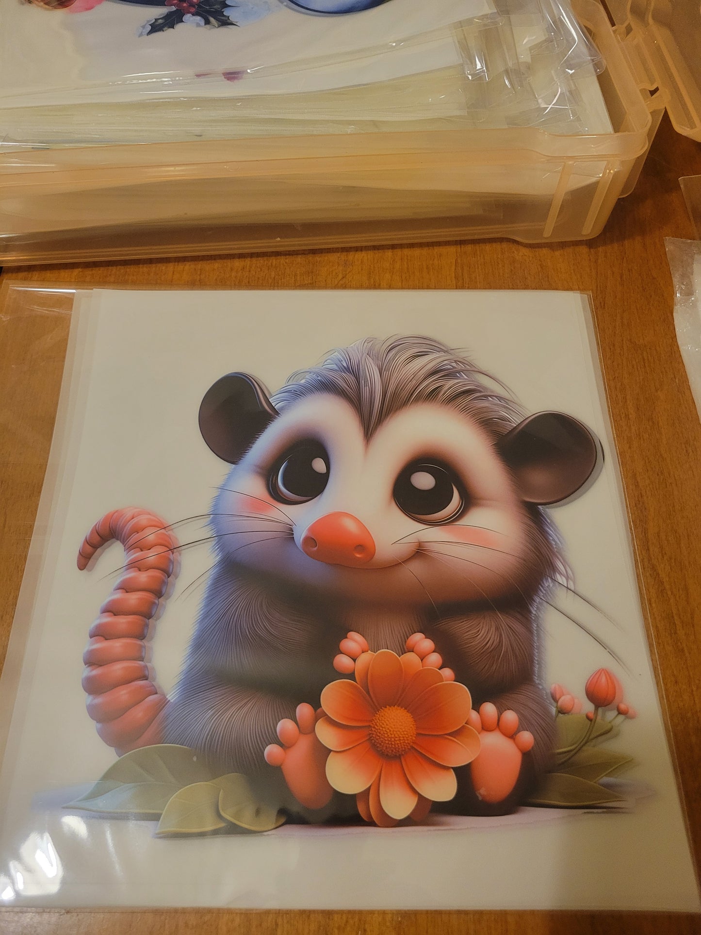 possum image 0