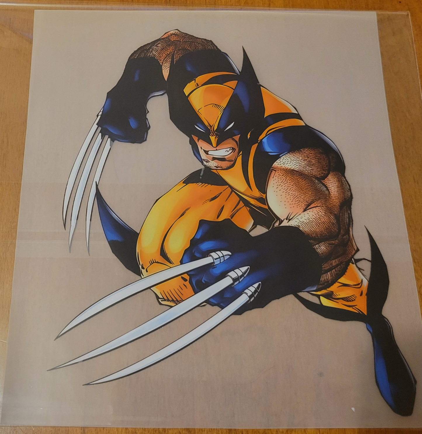 Wolverine image 0