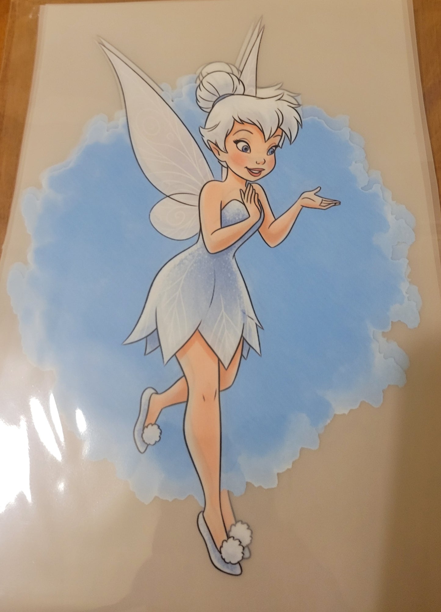 Tinker Bell & Friends image 4