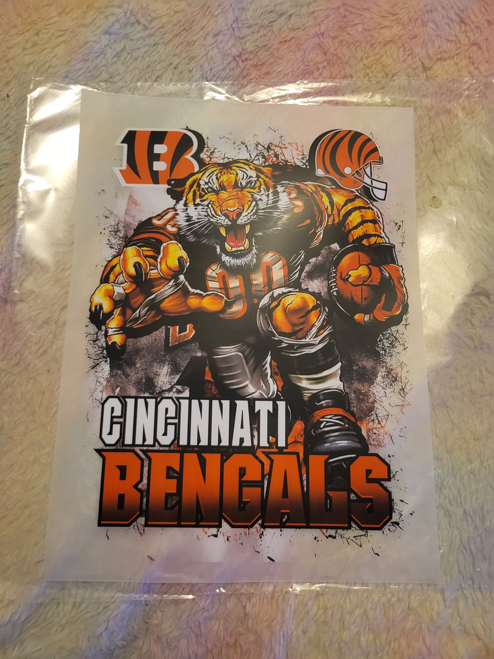 🏈 NFL AFC Division Football Mascot – DTF Transfers 🏈 image 0