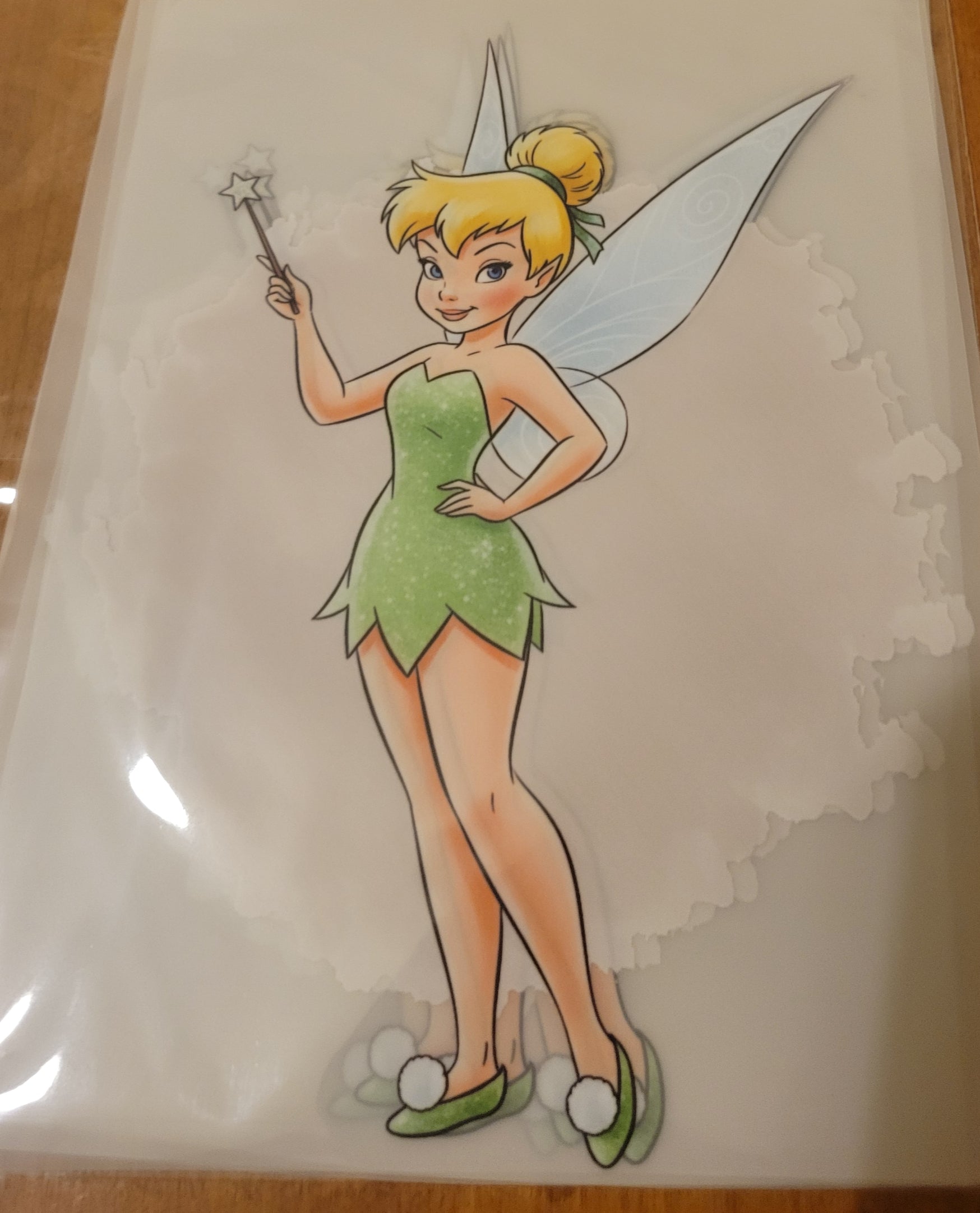 Tinker Bell & Friends image 0