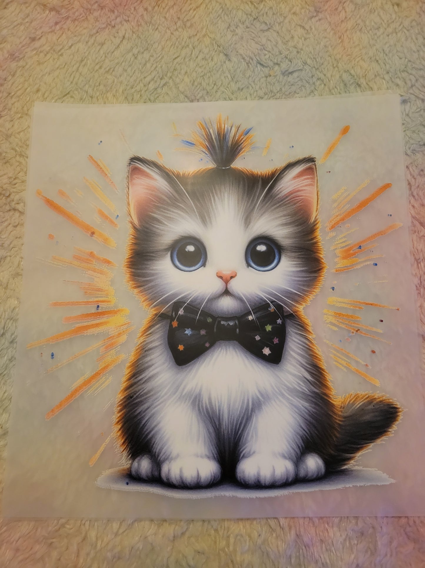 bowtie kitty image 0