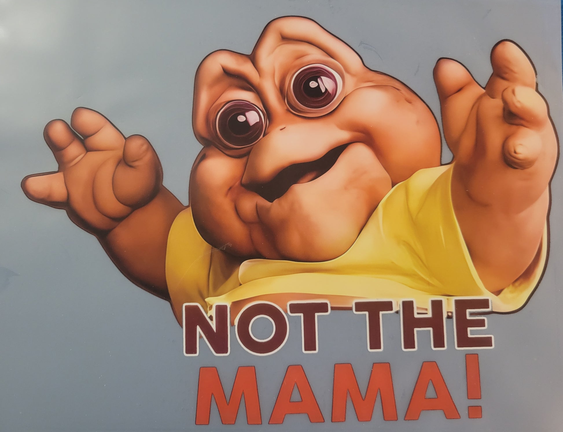 Not the Mama - Tshirt image 0